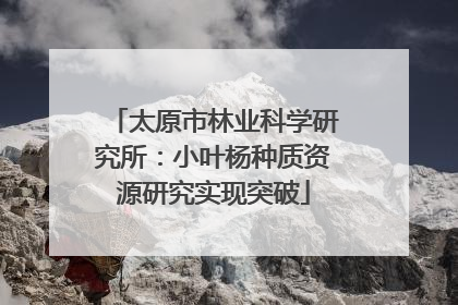 太原市林业科学研究所：小叶杨种质资源研究实现突破