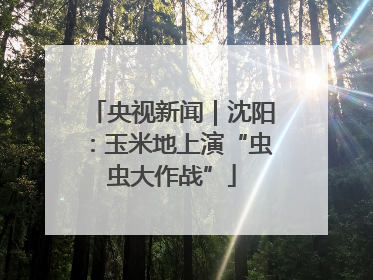 央视新闻｜沈阳：玉米地上演“虫虫大作战”