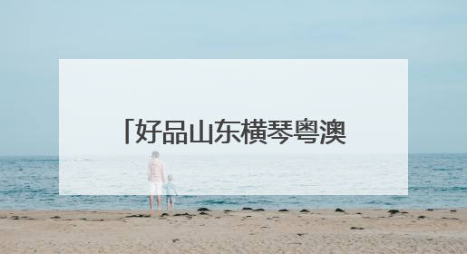 好品山东横琴粤澳深度合作区品牌出海中心正式启动