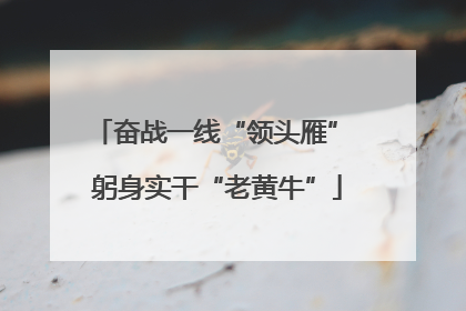 奋战一线“领头雁” 躬身实干“老黄牛”