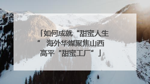 如何成就“甜蜜人生” 海外华媒聚焦山西高平“甜蜜工厂”