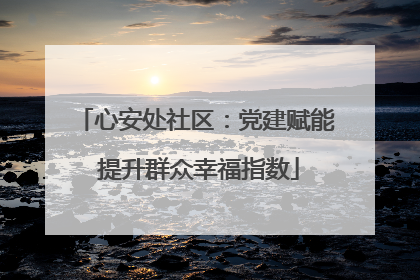心安处社区：党建赋能 提升群众幸福指数
