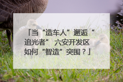 当“造车人”邂逅“追光者” 六安开发区如何“智造”突围？