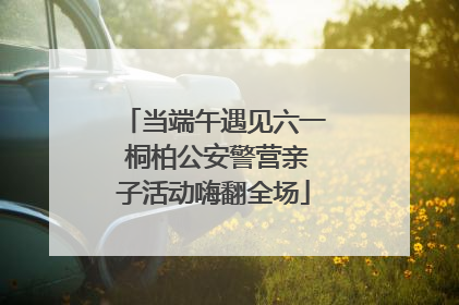 当端午遇见六一 桐柏公安警营亲子活动嗨翻全场