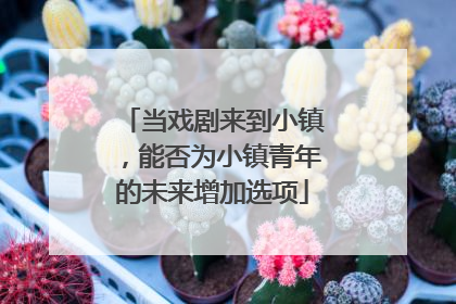 当戏剧来到小镇，能否为小镇青年的未来增加选项