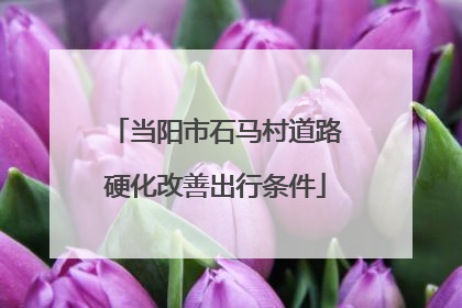 当阳市石马村道路硬化改善出行条件