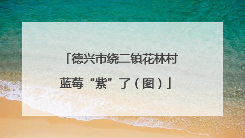 德兴市绕二镇花林村蓝莓“紫”了（图）