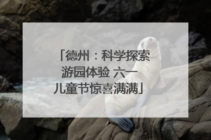 德州：科学探索 游园体验 六一儿童节惊喜满满