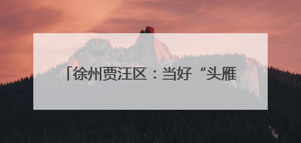 徐州贾汪区：当好“头雁”代表 助力乡村振兴