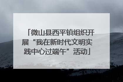 微山县西平镇组织开展“我在新时代文明实践中心过端午”活动