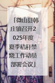 微山县韩庄镇召开2025年度夏季秸秆禁烧工作动员部署会议