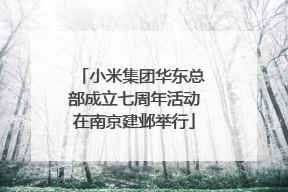 小米集团华东总部成立七周年活动在南京建邺举行