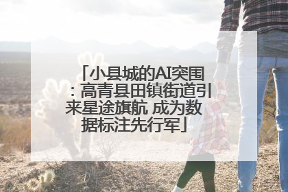 小县城的AI突围：高青县田镇街道引来星途旗航 成为数据标注先行军