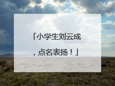 小学生刘云成，点名表扬！