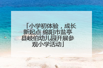 小学初体验，成长新起点 绵阳市盐亭县岐伯幼儿园开展参观小学活动