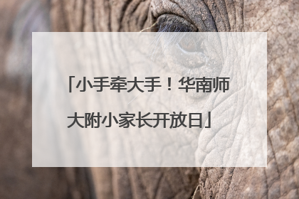 小手牵大手！华南师大附小家长开放日