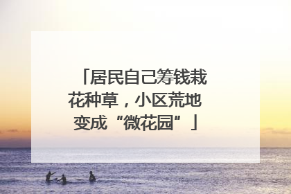 居民自己筹钱栽花种草，小区荒地变成“微花园”