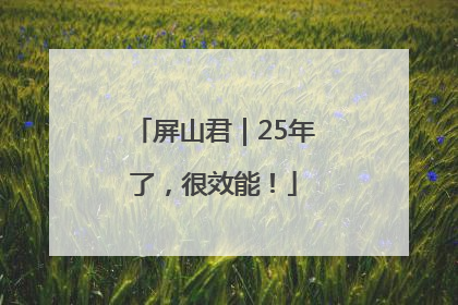 屏山君｜25年了，很效能！