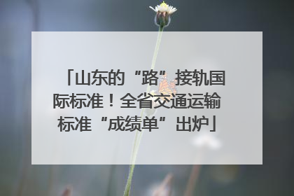 山东的“路”接轨国际标准！全省交通运输标准“成绩单”出炉