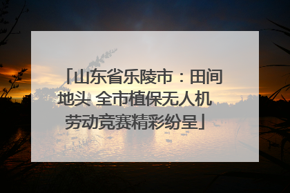 山东省乐陵市：田间地头 全市植保无人机劳动竞赛精彩纷呈