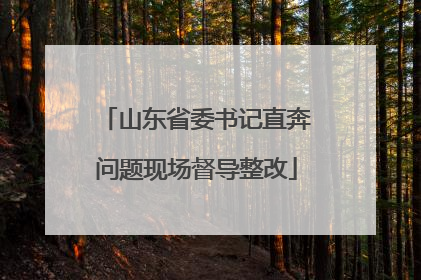 山东省委书记直奔问题现场督导整改
