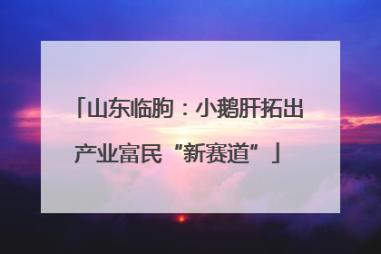 山东临朐：小鹅肝拓出产业富民“新赛道”