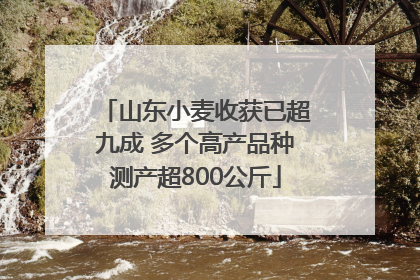 山东小麦收获已超九成 多个高产品种测产超800公斤