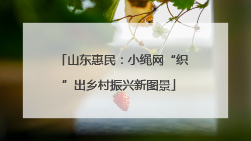 山东惠民：小绳网“织”出乡村振兴新图景