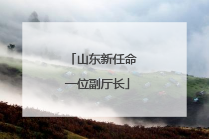 山东新任命一位副厅长