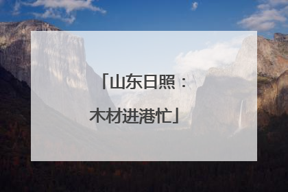 山东日照：木材进港忙