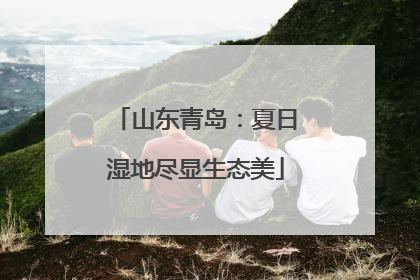 山东青岛：夏日湿地尽显生态美