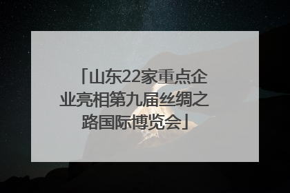 山东22家重点企业亮相第九届丝绸之路国际博览会