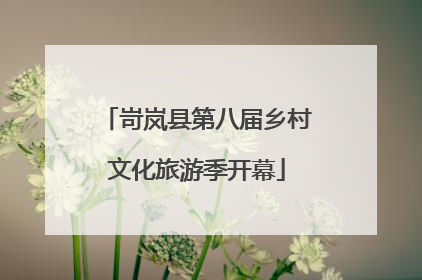 岢岚县第八届乡村文化旅游季开幕