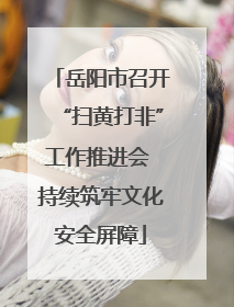岳阳市召开“扫黄打非”工作推进会 持续筑牢文化安全屏障