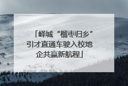 峄城“榴枣归乡”引才直通车驶入校地企共赢新航程