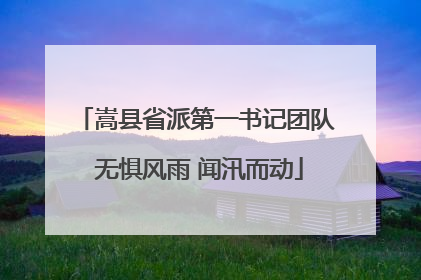 嵩县省派第一书记团队 无惧风雨 闻汛而动