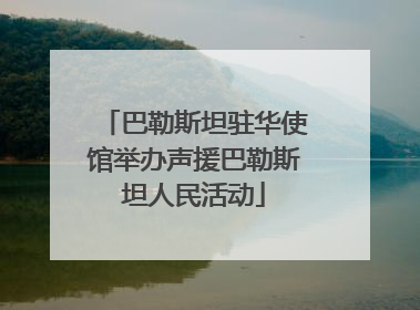 巴勒斯坦驻华使馆举办声援巴勒斯坦人民活动