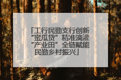工行民勤支行创新“蜜瓜贷”精准滴灌“产业田”全链赋能民勤乡村振兴