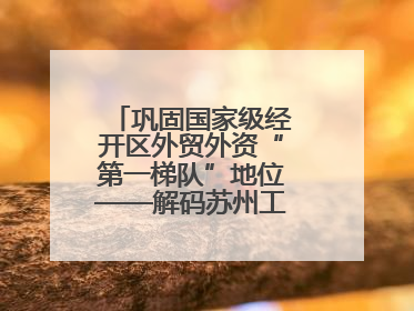巩固国家级经开区外贸外资“第一梯队”地位——解码苏州工业园区样本