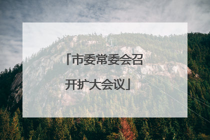 市委常委会召开扩大会议
