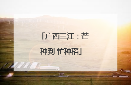 广西三江：芒种到 忙种稻