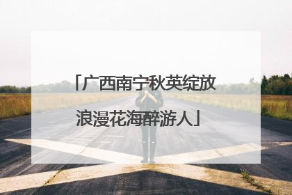 广西南宁秋英绽放 浪漫花海醉游人
