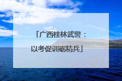 广西桂林武警：以考促训砺精兵