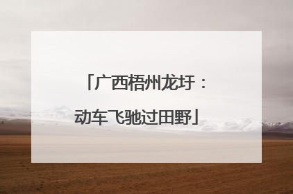 广西梧州龙圩：动车飞驰过田野