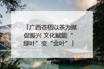 广西苍梧以茶为媒促振兴 文化赋能“绿叶”变“金叶”