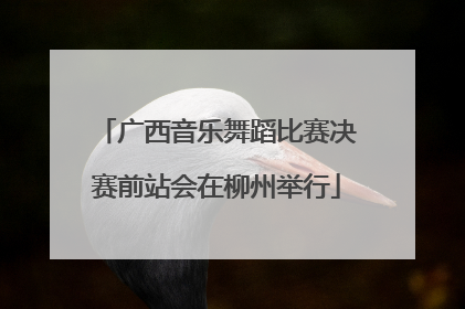 广西音乐舞蹈比赛决赛前站会在柳州举行