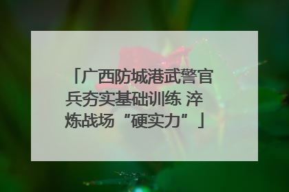 广西防城港武警官兵夯实基础训练 淬炼战场“硬实力”