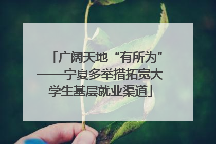 广阔天地“有所为”——宁夏多举措拓宽大学生基层就业渠道