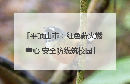 平顶山市：红色薪火燃童心 安全防线筑校园