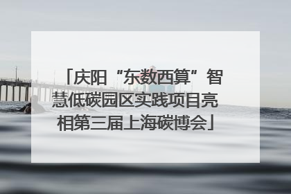 庆阳“东数西算”智慧低碳园区实践项目亮相第三届上海碳博会